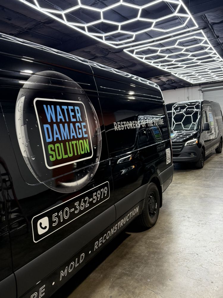 Water Damage Solution