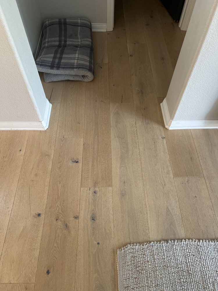 Marvic Carpet Steam Cleaning