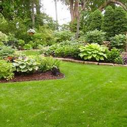 Supreme Lawn Care Get Quote Landscaping Tarryton Exposition Photo Of Supreme Lawn Care Austin Tx United States