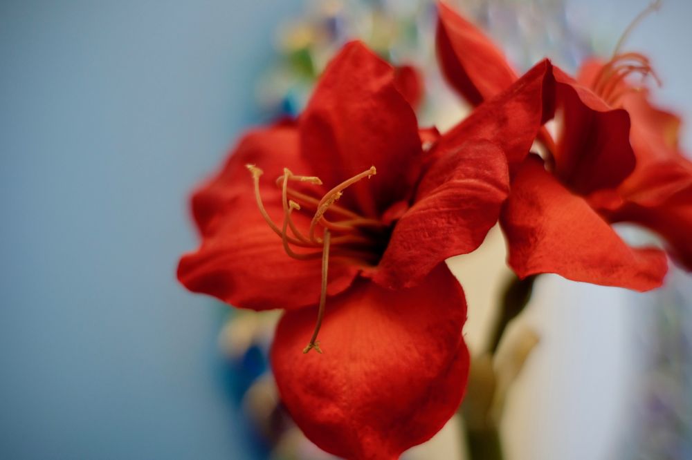 image of business A Plus Family Dentistry