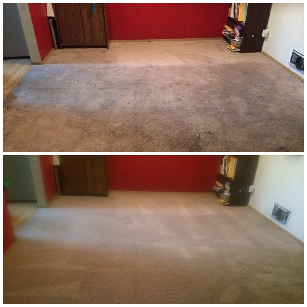 Angel’s Carpet Care 54 Reviews Carpet Cleaning Admiral, Seattle
