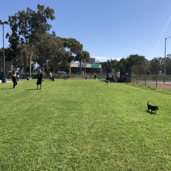 costa mesa dog park costa mesa dog park