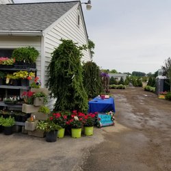 Springlake Nursery 14 Photos Nurseries Gardening 3023 Photo Of Springlake Nursery Perry Oh United States