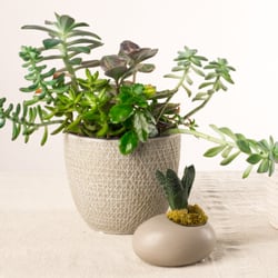 Stein’s Garden & Home - Nurseries & Gardening - 2220 E Moreland Blvd