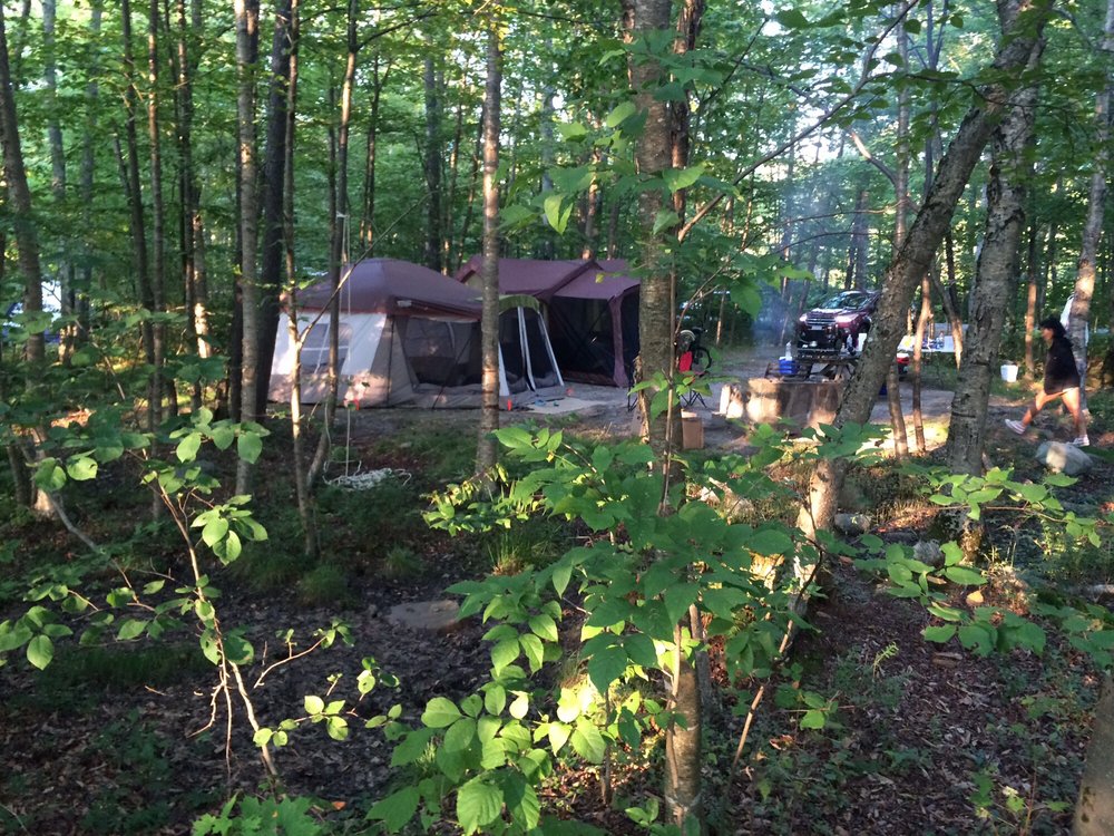 Mongaup Pond Campground 34 Photos & 18 Reviews Hiking 231 Mongaup