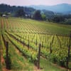 Lenné Estate Winery winery