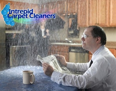 Intrepid Carpet Cleaners