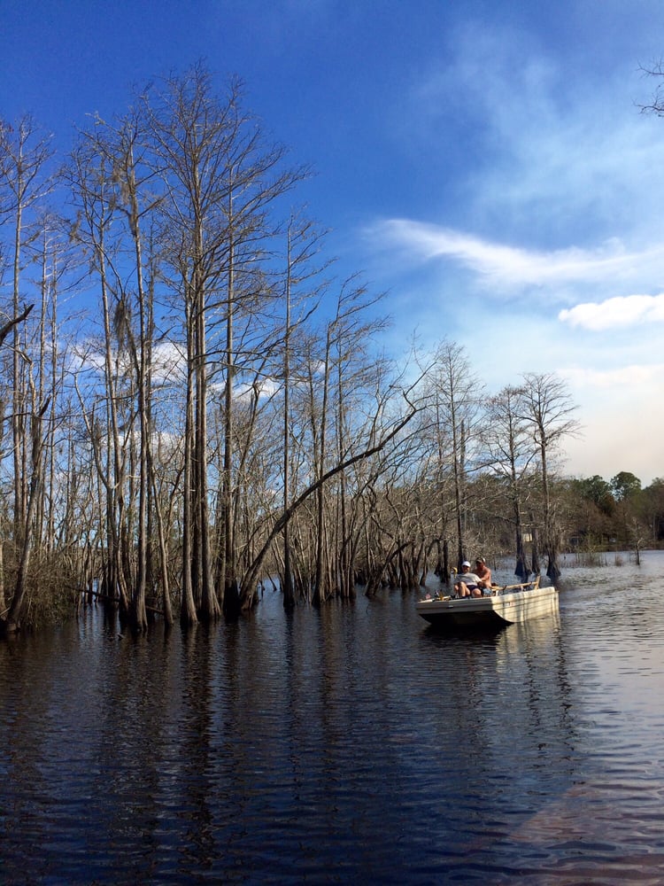 Dead Lakes Recreational Area Parks Wewahitchka, FL Yelp