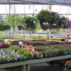 Pike Nurseries Gardening 2475 Towne Lake Parkway Photo Of Pike Nurseries Woodstock Ga United States