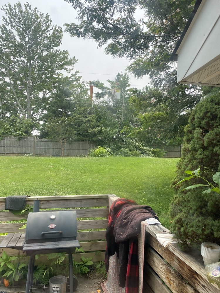 Asplundh Tree Expert