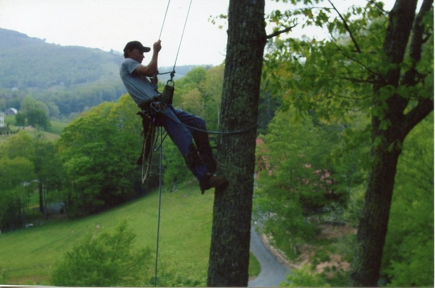 4 Seasons Tree Service, LLC