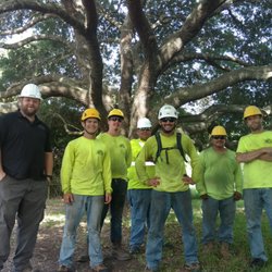 Texas Tree Team 46 Photos 25 Reviews Services 865 Photo Of Texas Tree Team Houston Tx United States Red Pruning