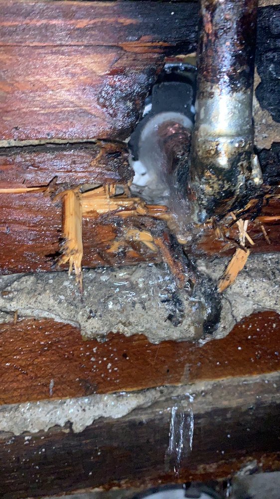 image of business Proper Function Plumbing