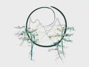 Essential Circles of Life