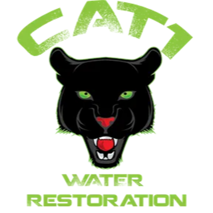 Cat1 Water Restoration