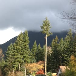 Tree Service North Bend  Photo of J B Tree Service NW Inc - North Bend, WA, United States