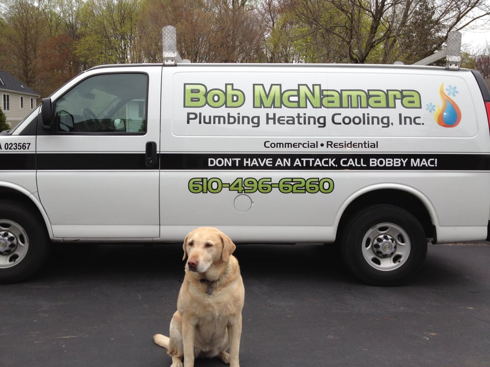 image of business Bob McNamara