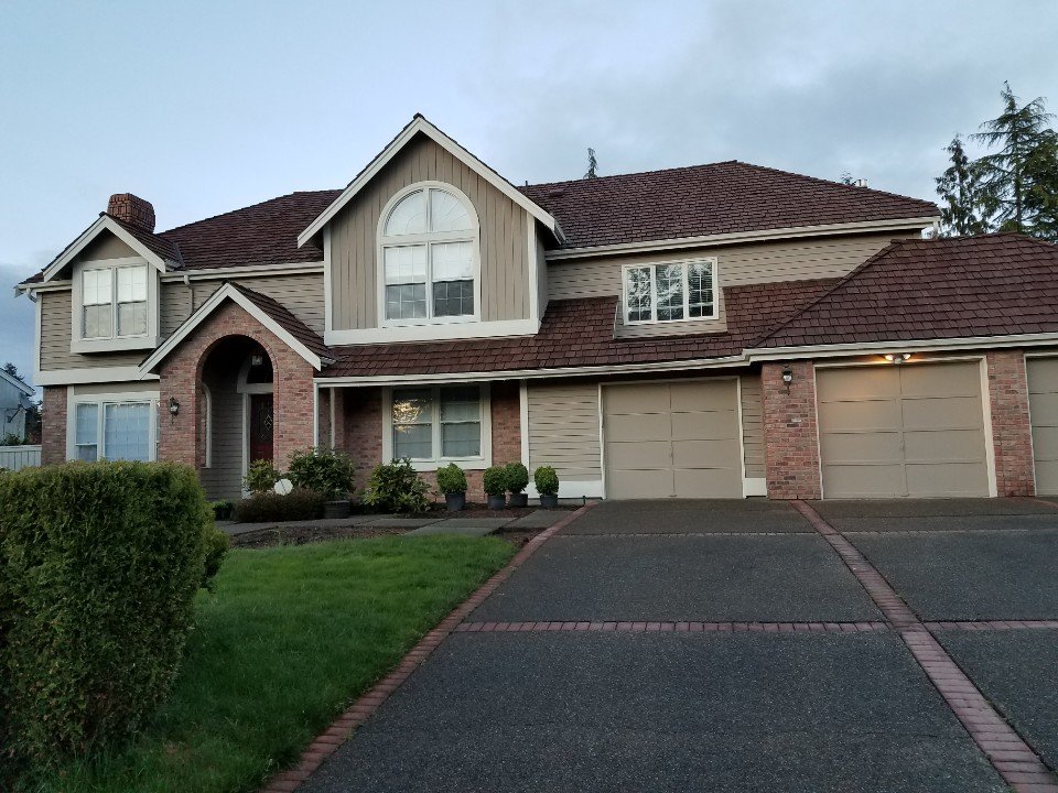 image of business Super Pro Painting