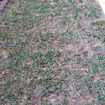 Eco Irrigation And Landscaping 29 Photos 75 Reviews Photo Of Eco Irrigation And Landscaping Cedar Park Tx United States Looks