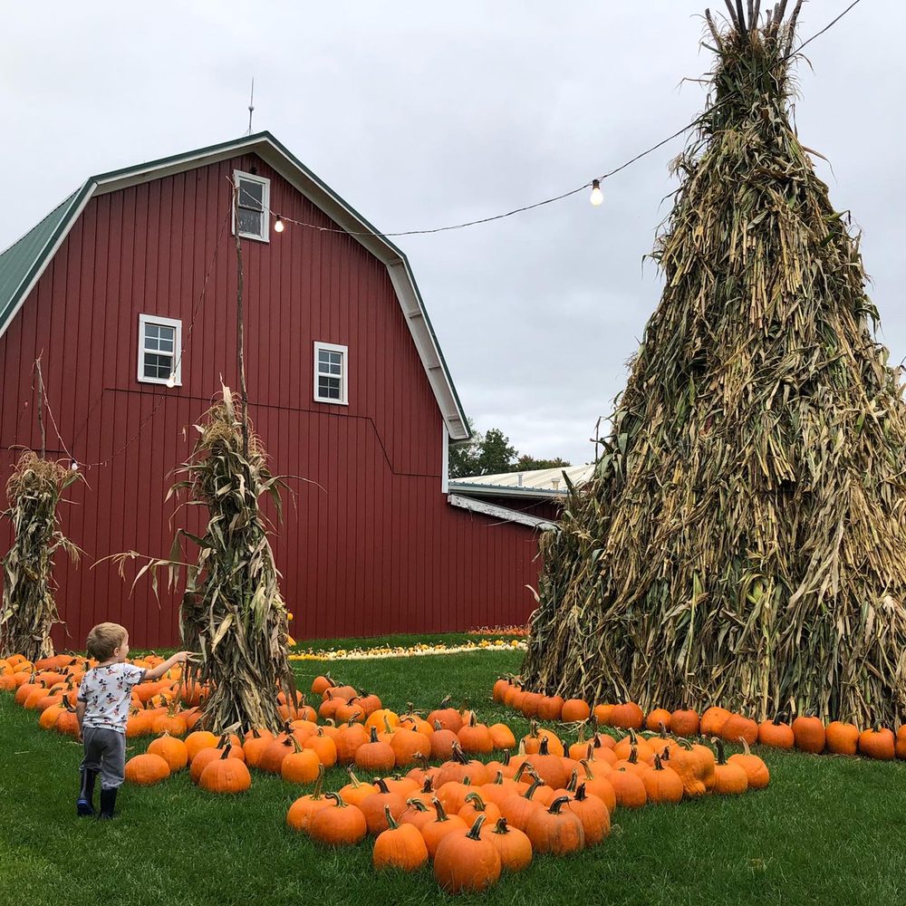Baumans Farm Market and Greenhouses