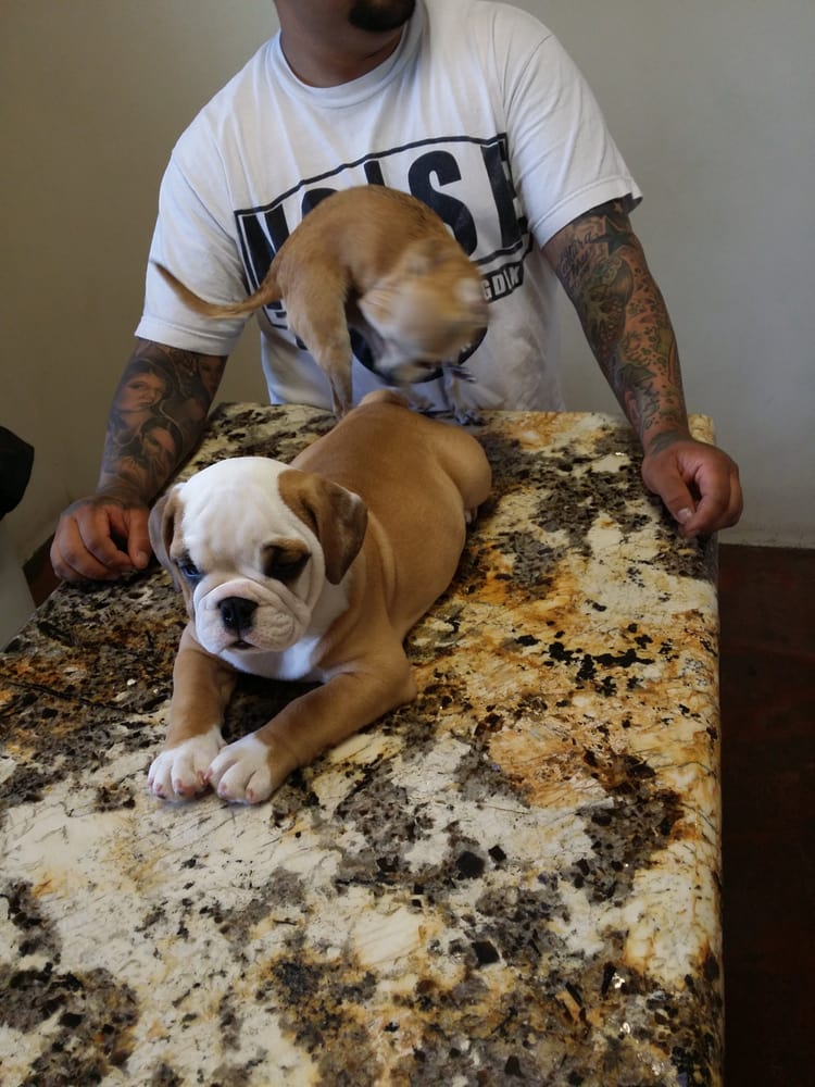 Butchko Veterinary Hospital 77 Photos & 189 Reviews Veterinarians