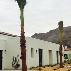 Desert Jool Farms 51 Photos Nurseries Gardening 59460 Photo Of Desert Jool Farms Thermal Ca United States Washingtonia Hybrid Palms