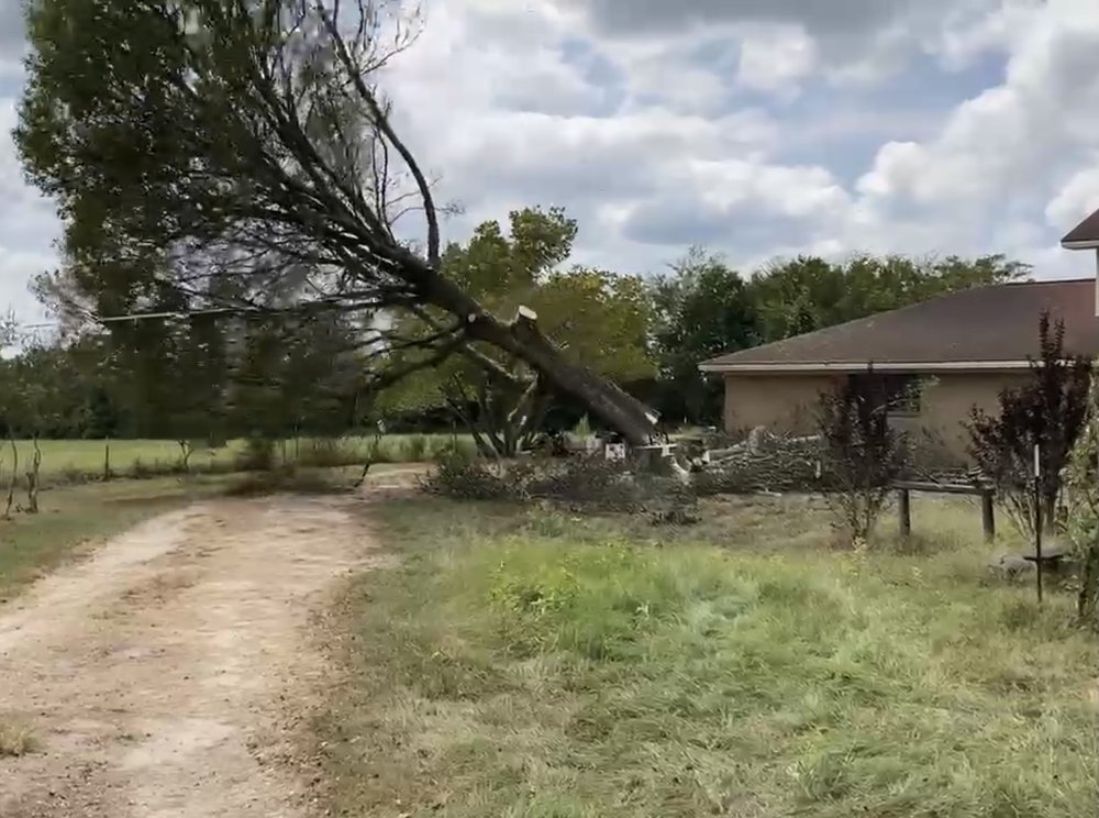 Trimco Tree Service