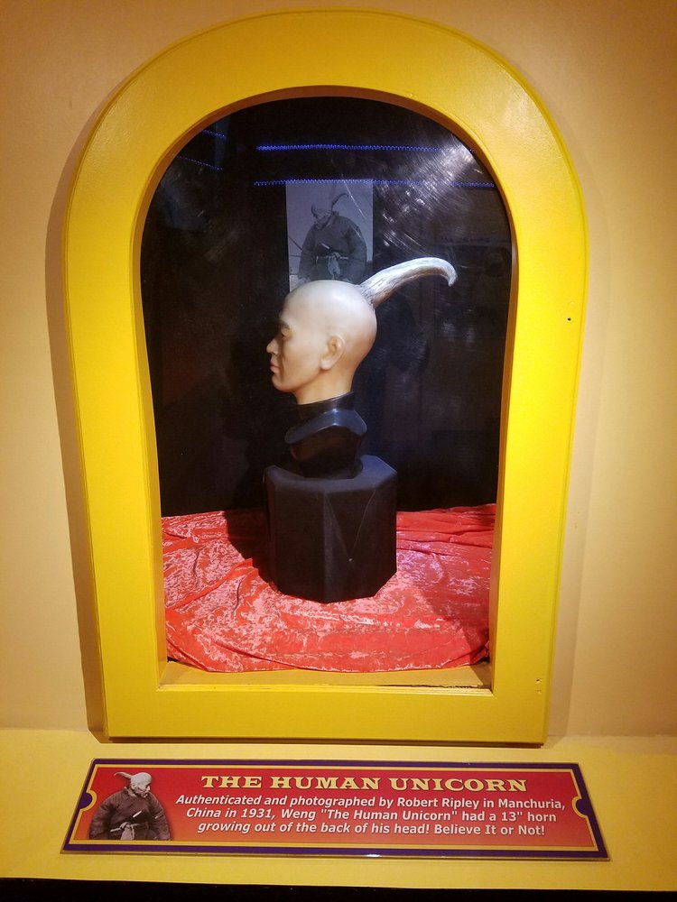 Ripley’s Believe It or Not! Myrtle Beach 176 Photos & 59 Reviews