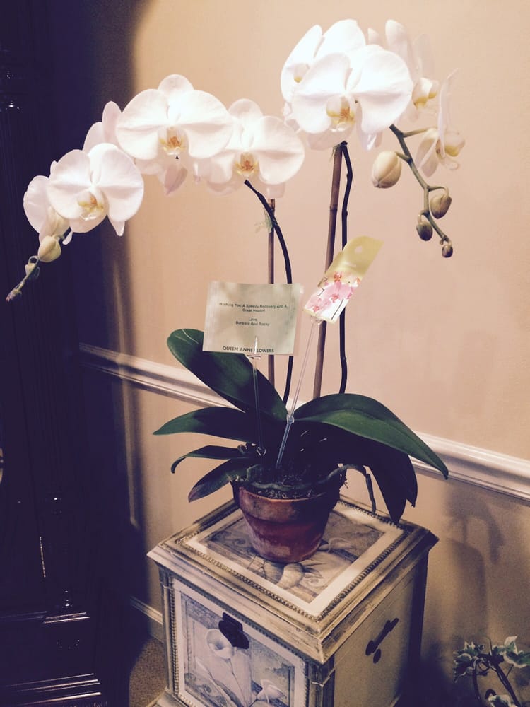 Queen Anne Flower Delivery Seattle Best Flower Site