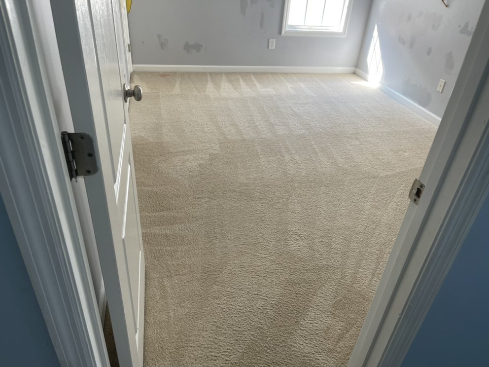 Best Carpet Cleaning