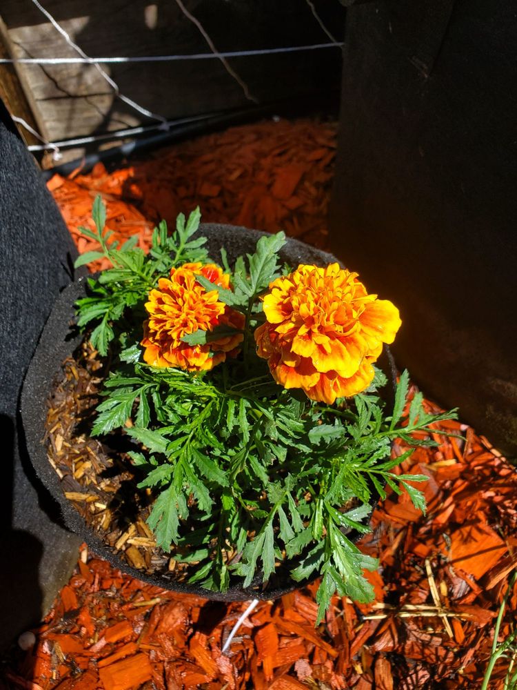 image of business OS Builders