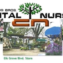 Capital Nursery Closed 35 Reviews Nurseries Gardening 4700 Photo Of Capital Nursery Sacramento Ca United States