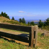 Windy Hill Open Space Preserve - 317 Photos & 132 Reviews - Parks - Portola Valley, CA - Phone ...