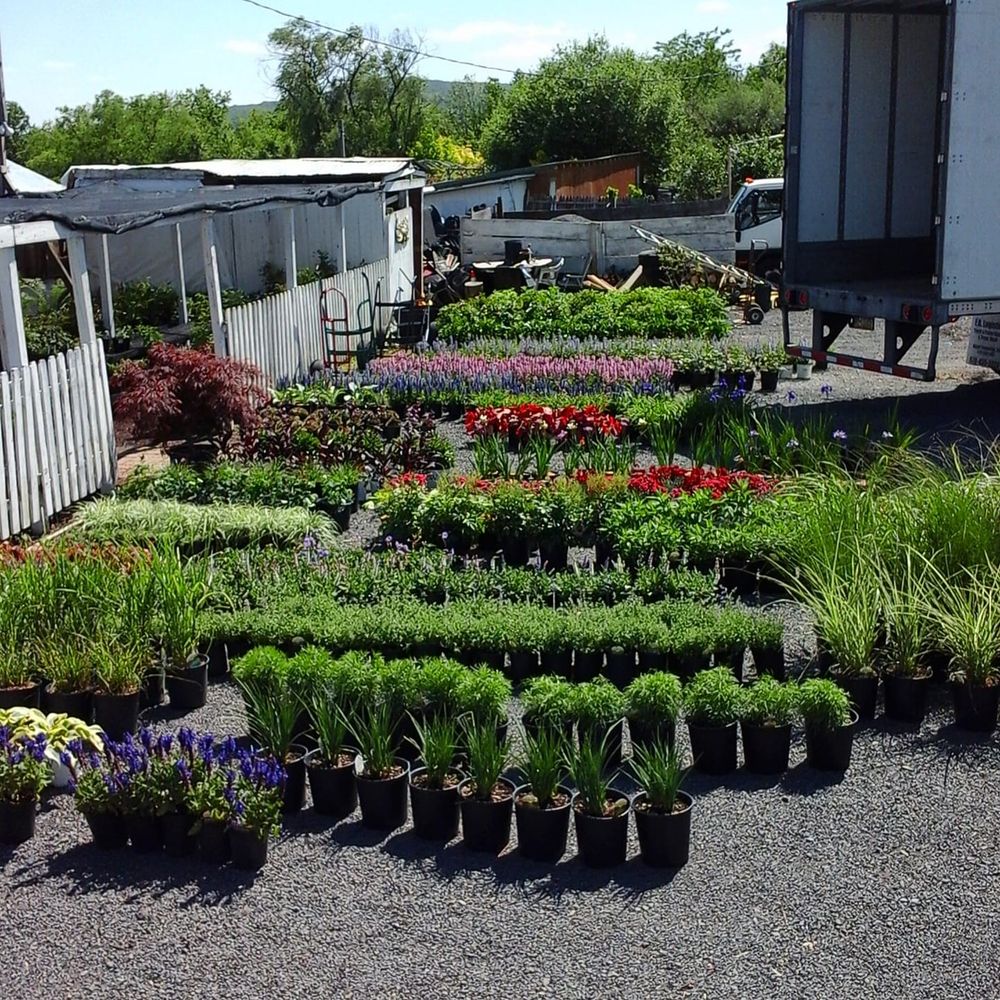 Bucks County Nursery