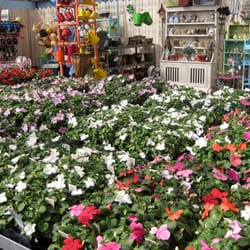 Vicki S Garden Center Nurseries Gardening 2100 Inland Photo Of Vicki S Garden Center Spokane Wa United States