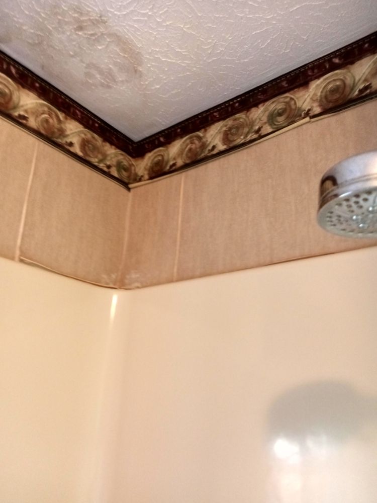 S &S  Cleaning Service and Yard work