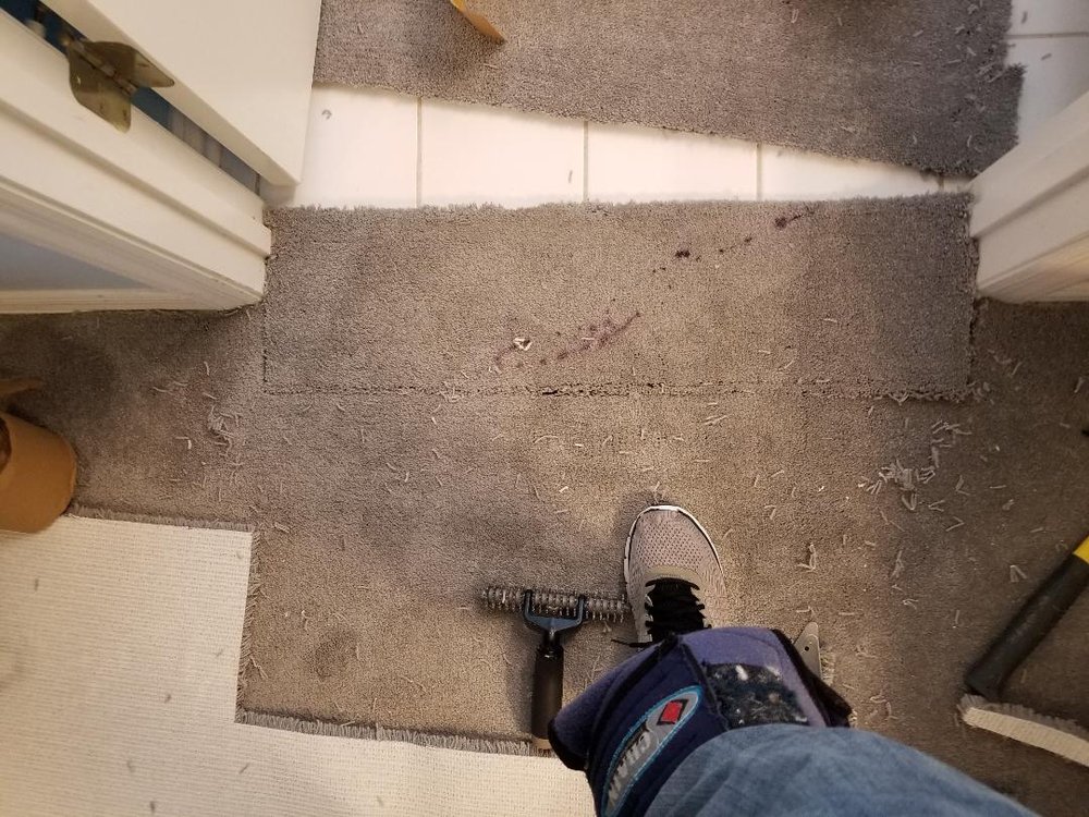 image of business Performance Carpet Repair