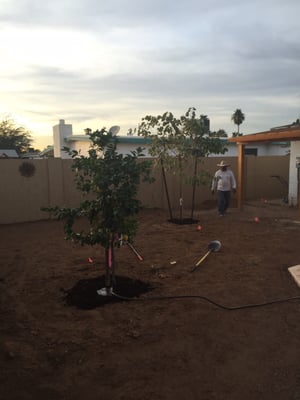 Treeland Nurseries 2900 S Country Club Dr Y Mesa Az Treeland Nurseries 2900 S Country Club Dr Y Mesa Az Plants Trees Etc Whole Mapquest