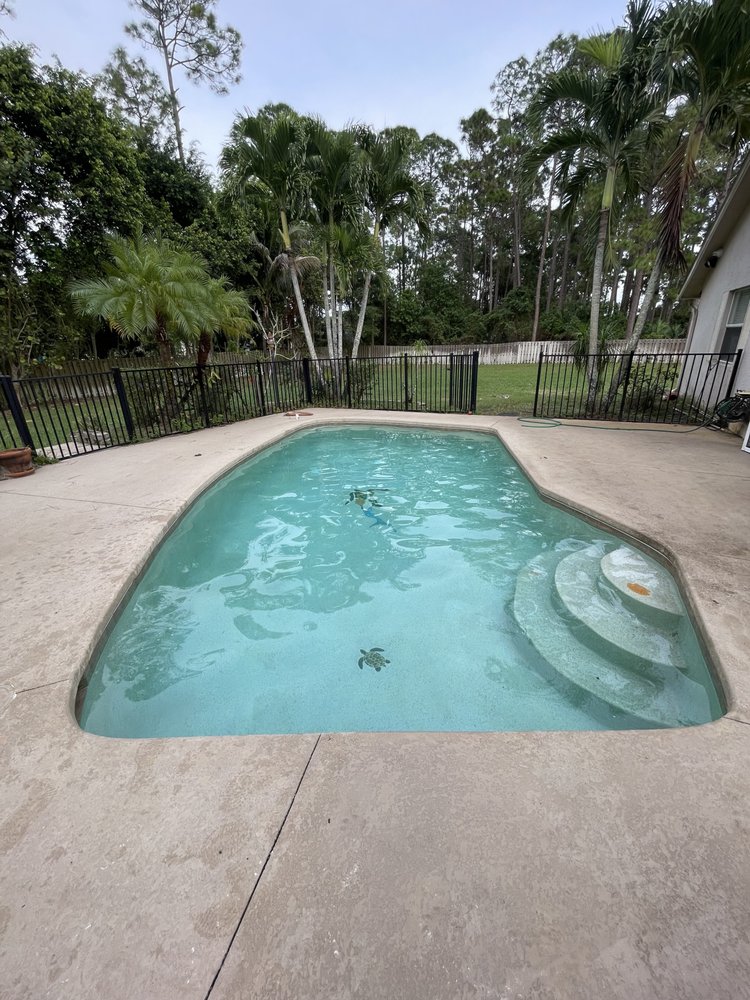 King Tide Pool Co.