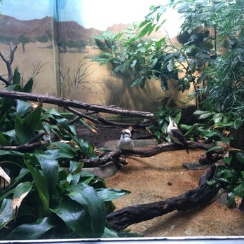 Bronx Zoo - 2608 Photos & 793 Reviews - Zoos - 2300 Southern Blvd