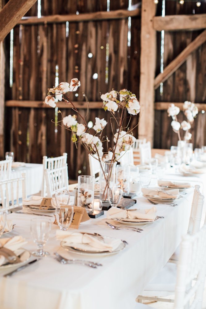Wedding place settings, table, linen and chair rentals for family ... Wedding place settings, table, linen and chair rentals for family ...