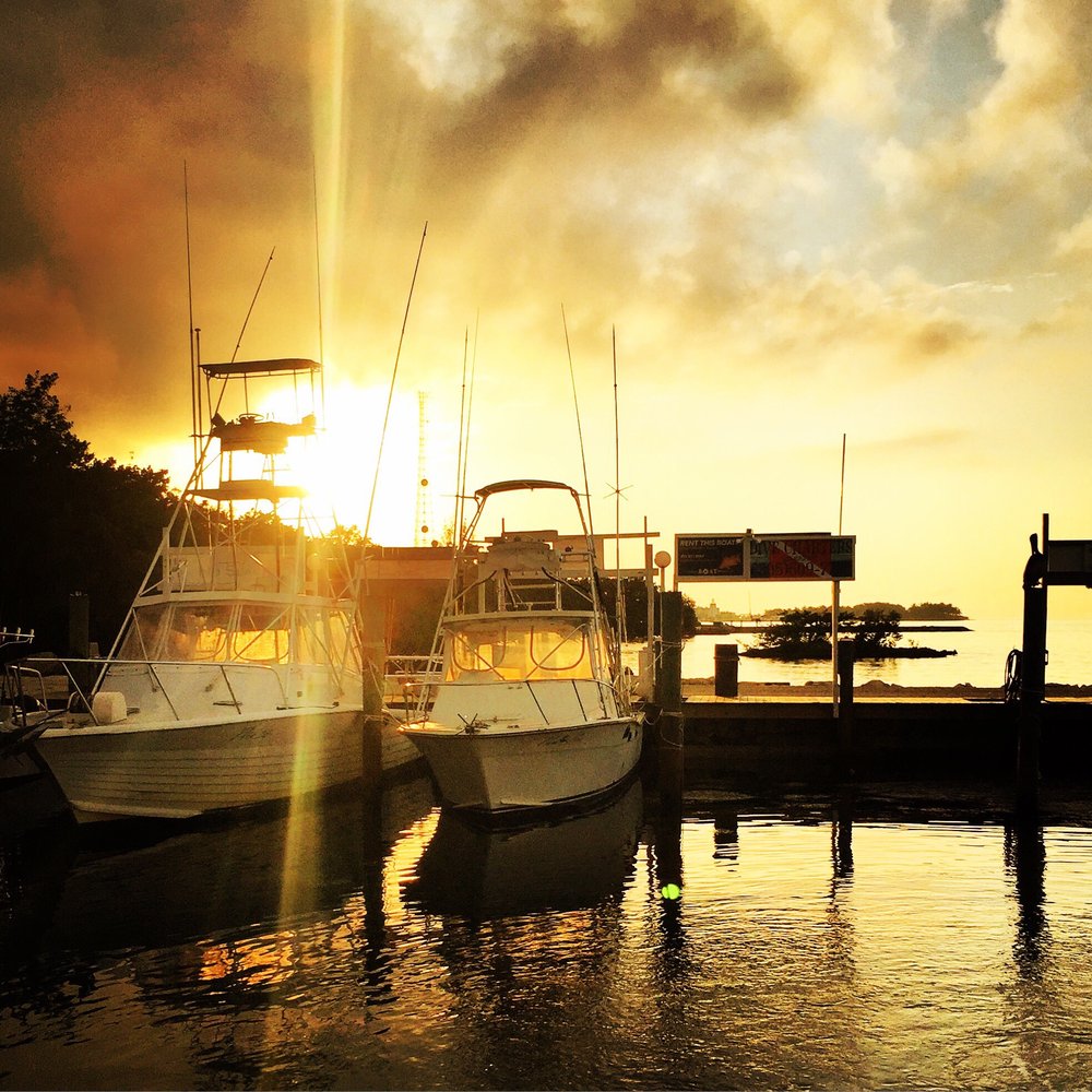 Keys Fisheries Market & Marina 502 Photos & 500 Reviews Seafood