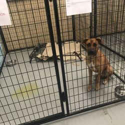 location of humane society of iredell