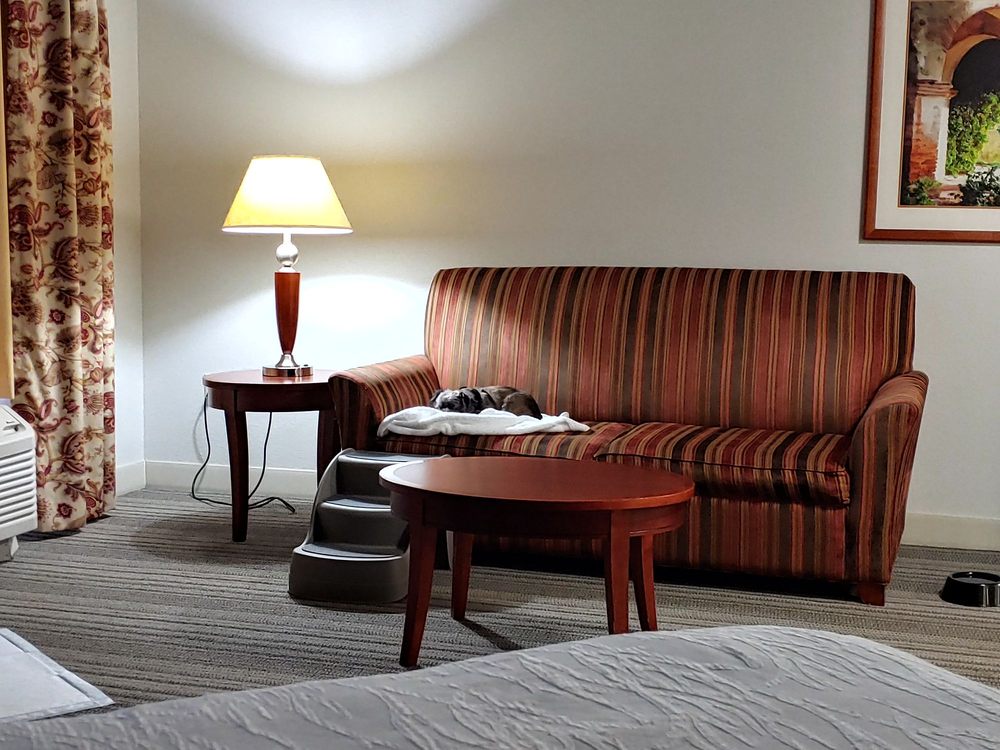Hilton Garden Inn Roanoke Rapids