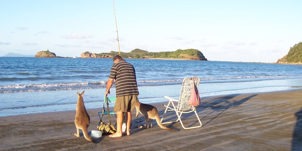 Cape Hillsborough Nature Resort