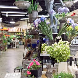 Johnson S Florist Garden Centers 17 Photos 11 Reviews Photo Of Johnson S Florist Garden Centers Kensington Md United States More