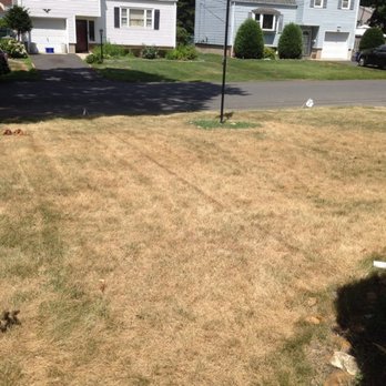Lawn Doctor Of Se Mercer Middle County Pest Control 7f Photo Of Lawn Doctor Se Mercer Middle County New Brunswick Nj