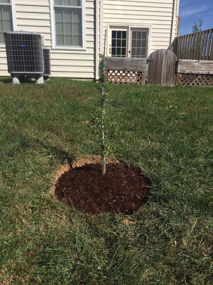 Nova Green Lawn and Landscapes