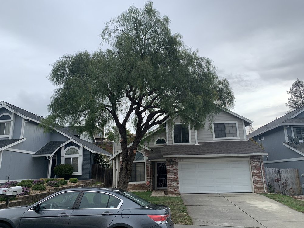 Quality Tree Service