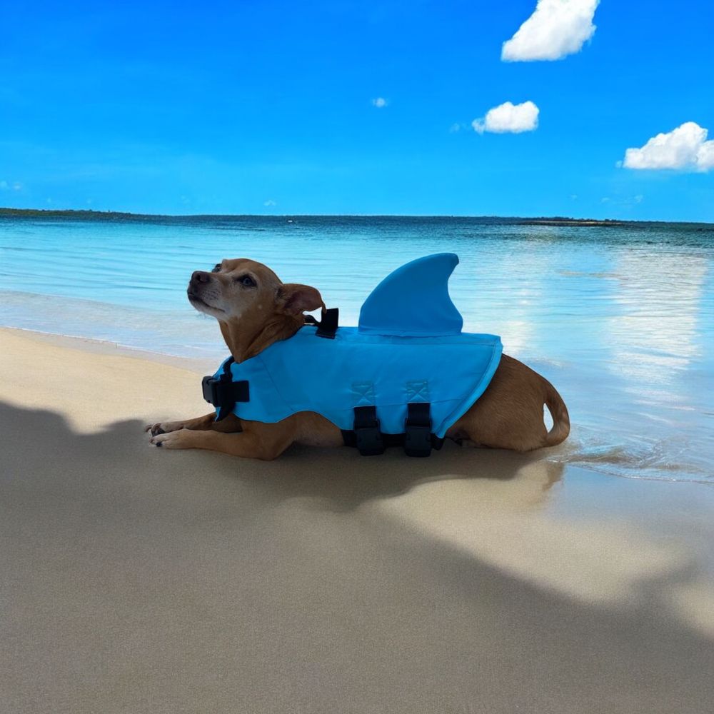 Coastal Canines Mobile Grooming Image